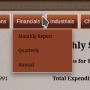 reports_hovermenu_financials.png