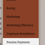 employeebenefits_gettopensionpayoutreport.png