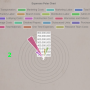 reports_expense_summary_radio.png